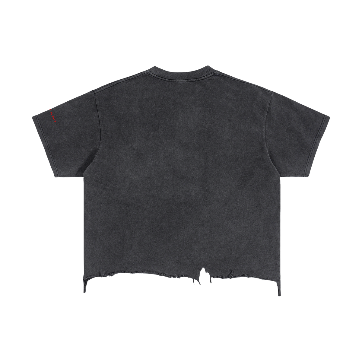 Vintage "Zendaya" Wash Boxy Distressed Hem T-Shirt