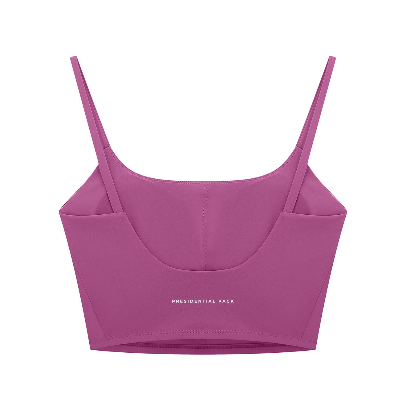 Women's BIGGZWORLD ALBUM Sports Bra
